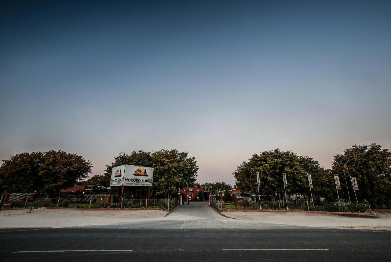 Mokoro Lodge Maun Bagian luar foto