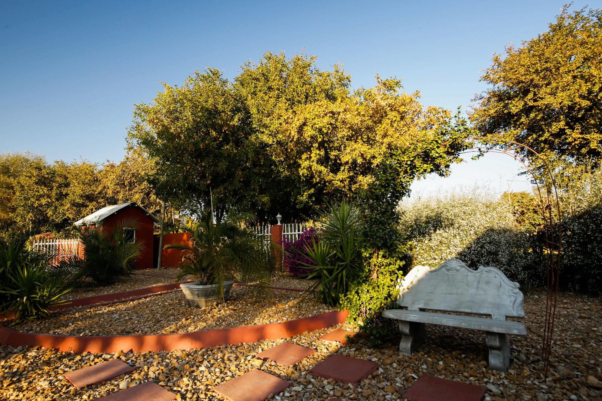 Mokoro Lodge Maun Bagian luar foto
